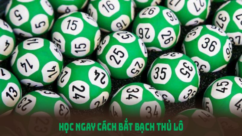 Học ngay cách bắt bạch thủ lô hiệu quả với các bước đơn giản dưới đây